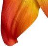 🤩 Эмодзи «Orange» для Telegram