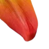 🤩 Эмодзи «Orange» для Telegram