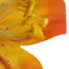 🤩 Эмодзи «Orange» для Telegram