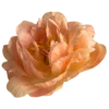 🤩 Эмодзи «Orange» для Telegram