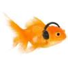 🤩 Эмодзи «Orange» для Telegram