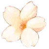 🤩 Эмодзи «᥆RᥲᥒGᥱ» для Telegram