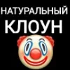 🤡 Эмодзи «Orion» для Telegram