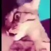 🥴 Эмодзи «» для Telegram