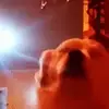 🥳 Эмодзи «» для Telegram