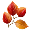 🤩 Эмодзи «Осенние Листья» для Telegram