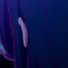 🙂 Эмодзи «Oshi no Ko - аниме Звёздное Дитя» для Telegram
