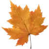 🍁 Эмодзи «☂ Осень» для Telegram