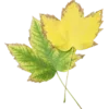 🍁 Эмодзи «☂ Осень» для Telegram