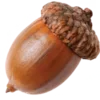 🌰 Эмодзи «☂ Осень» для Telegram