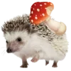 🦔 Эмодзи «☂ Осень» для Telegram