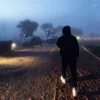 🎵 Эмодзи «PHARAOH» для Telegram