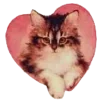🦩 Эмодзи «Pink Joy» для Telegram
