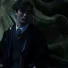 🐍 Эмодзи «Пс Эм» для Telegram
