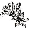 🌺 Эмодзи «Chroma» для Telegram