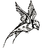 🐦‍⬛️ Эмодзи «Chroma» для Telegram