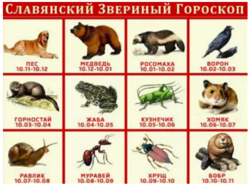 🧐 Стикер «Интересные» для Telegram