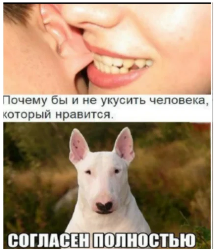 😜 Стикер «Интересные» для Telegram