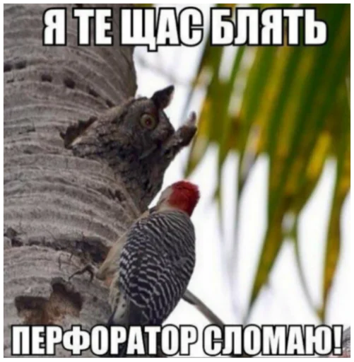 😂 Стикер «Интересные» для Telegram