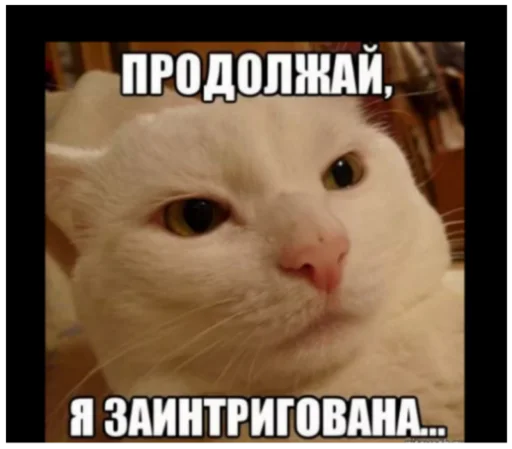 ☺️ Стикер «Интересные» для Telegram