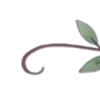 🌱 Эмодзи «буквы и цветы» для Telegram