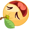 🍊 Эмодзи «Рофлан Ебало (Смайлы Папича)» для Telegram