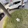 😮 Эмодзи «» для Telegram