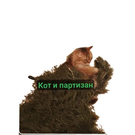 🧔 Стикер «Партизанчик» для Telegram