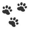 🐾 Эмодзи «Paws Collection» для Telegram