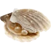 🤩 Эмодзи «Peachshell» для Telegram