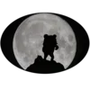 ⭐️ Эмодзи «Pedobearstaticemoji» для Telegram