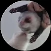 🎼 Эмодзи «Pedro Pack» для Telegram