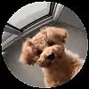 🎶 Эмодзи «Pedro Pack» для Telegram