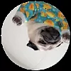 🎶 Эмодзи «Pedro Pack» для Telegram