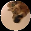 🎶 Эмодзи «Pedro Pack» для Telegram