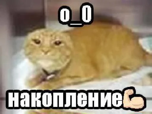 🤩 Стикер «Пэп» для Telegram