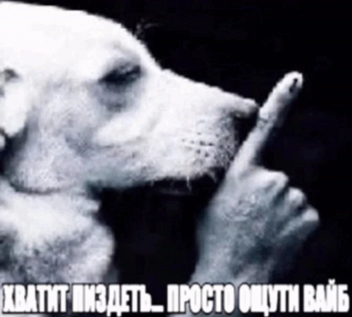 🤩 Стикер «Пэп» для Telegram