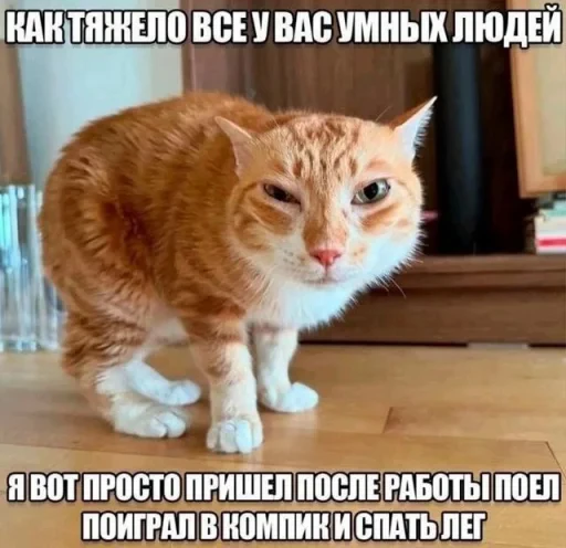 🤩 Стикер «Пэп» для Telegram