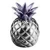 🍍 Эмодзи «Perfect Titanium» для Telegram