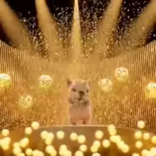 🤩 Стикер «I am Pibble» для Telegram