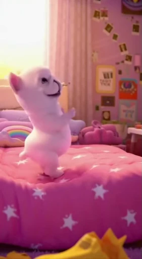 🤩 Стикер «Pibble dancing» для Telegram
