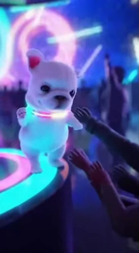 🤩 Стикер «Pibble dancing» для Telegram