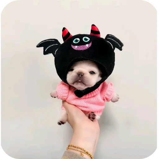 🖼 Стикер «Pibble» для Telegram