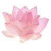 🌸 Эмодзи «🐰 розовые мечты» для Telegram