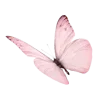 🦋 Эмодзи «🐰 розовые мечты» для Telegram