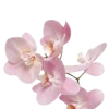 🌸 Эмодзи «🐰 розовые мечты» для Telegram