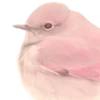 🤩 Эмодзи «Pink» для Telegram