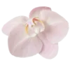 🤩 Эмодзи «Pink» для Telegram