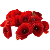 🌟 Эмодзи «Slavic Red Vibe» для Telegram