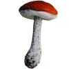 🌟 Эмодзи «Slavic Red Vibe» для Telegram